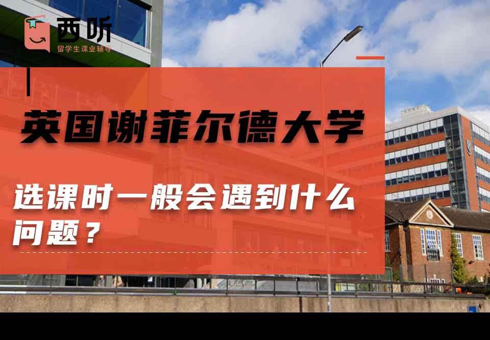 英国谢菲尔德大学选课时一般会遇到什么问题？