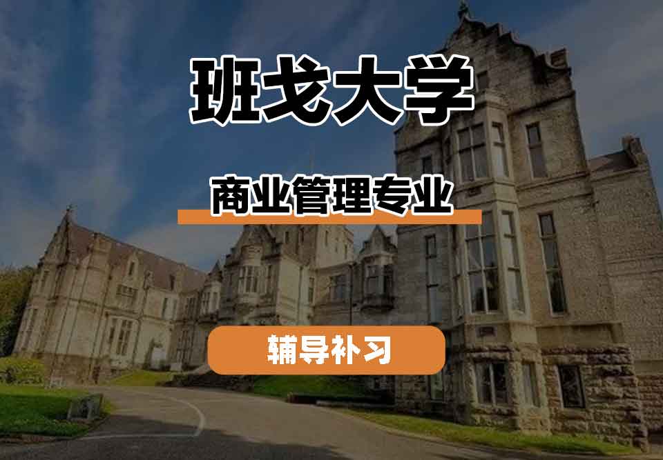 留学生线上一对一辅导丨班戈大学Major in business 专业的就业前景如何？