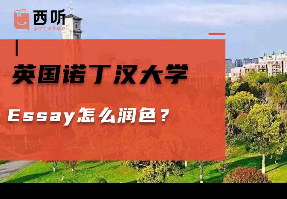 英国诺丁汉大学Essay怎么润色？