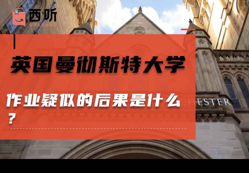 英国曼彻斯特大学作业疑似的后果是什么?