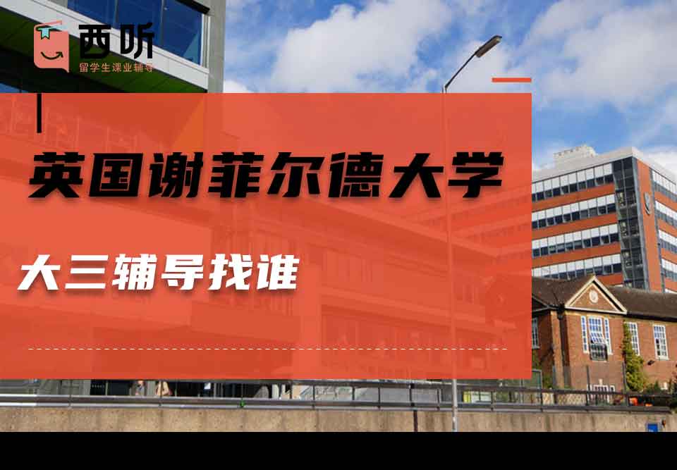 英国谢菲尔德大学大三辅导找谁