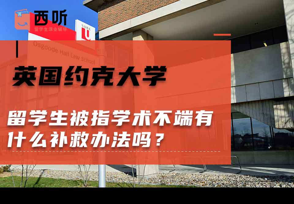 英国约克大学留学生被指学术不端有什么补救办法吗?