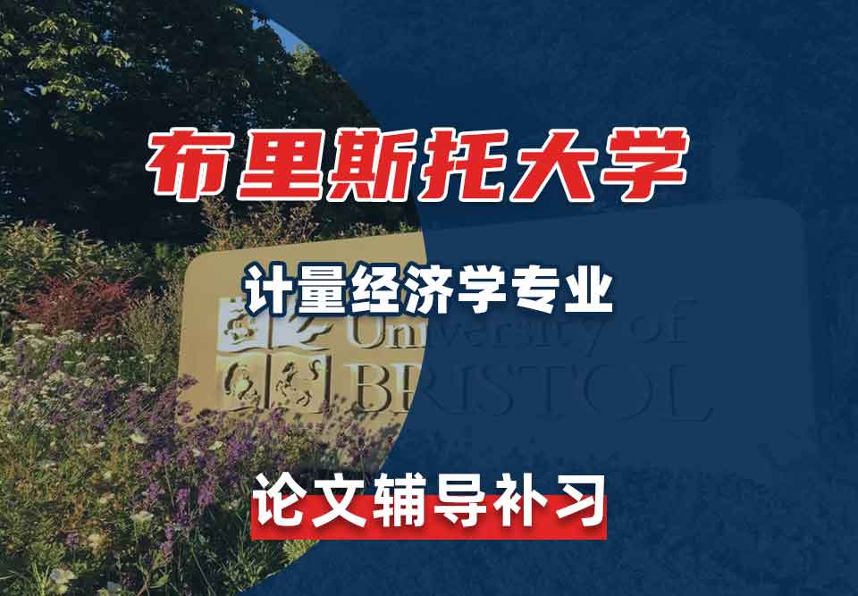 留学生论文写作辅导丨布大计量经济学专业论文结构解析
