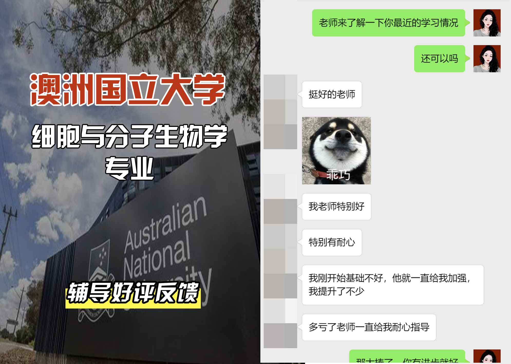 ANU澳洲国立大学细胞与分子生物学辅导好评反馈