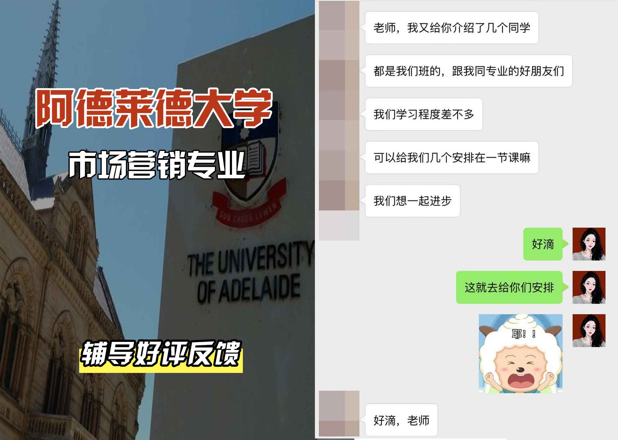 ADELAIDE阿大市场营销辅导好评反馈