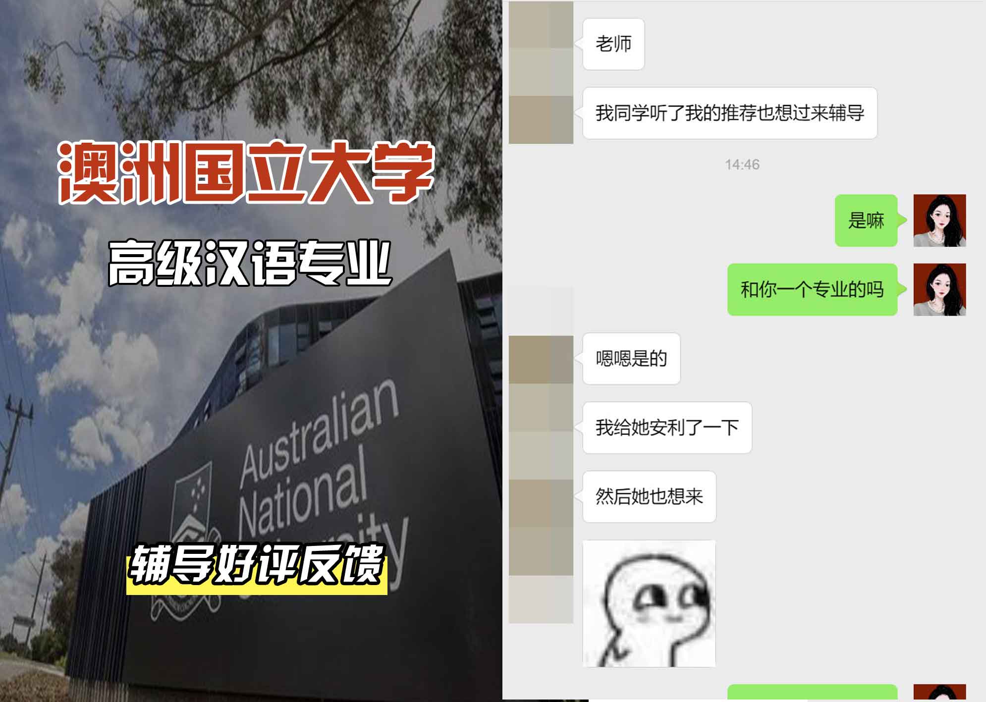 ANU澳洲国立大学高级汉语辅导好评反馈