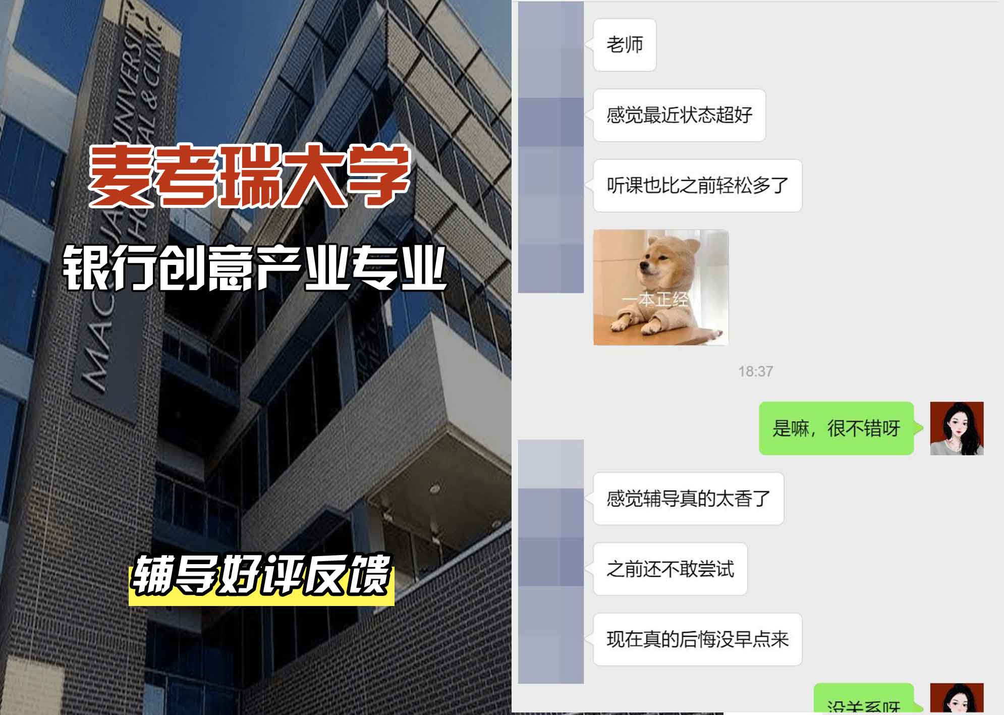 麦考瑞大学MQU银行创意产业辅导好评反馈