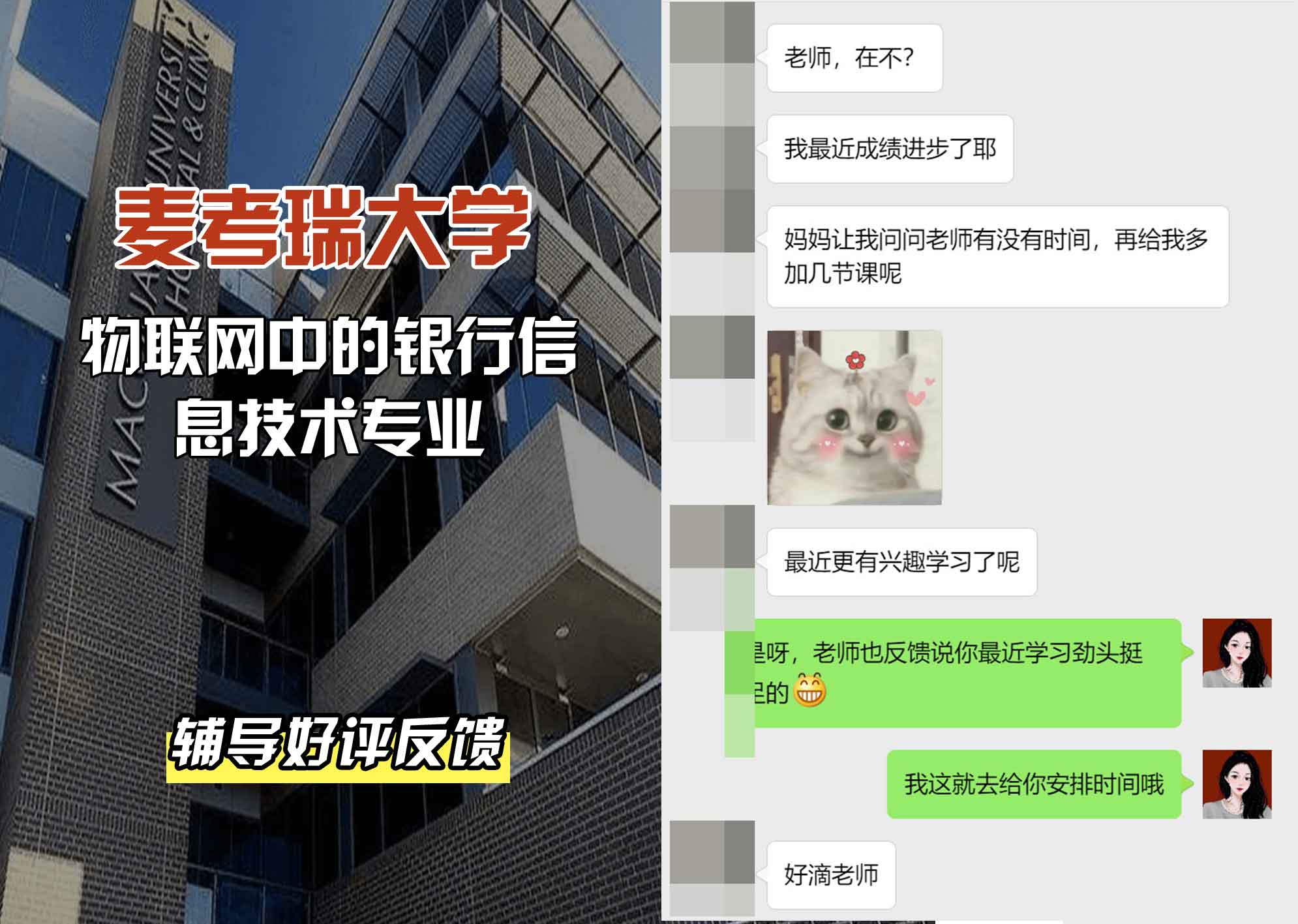 麦考瑞大学MQU物联网中的银行信息技术辅导好评反馈