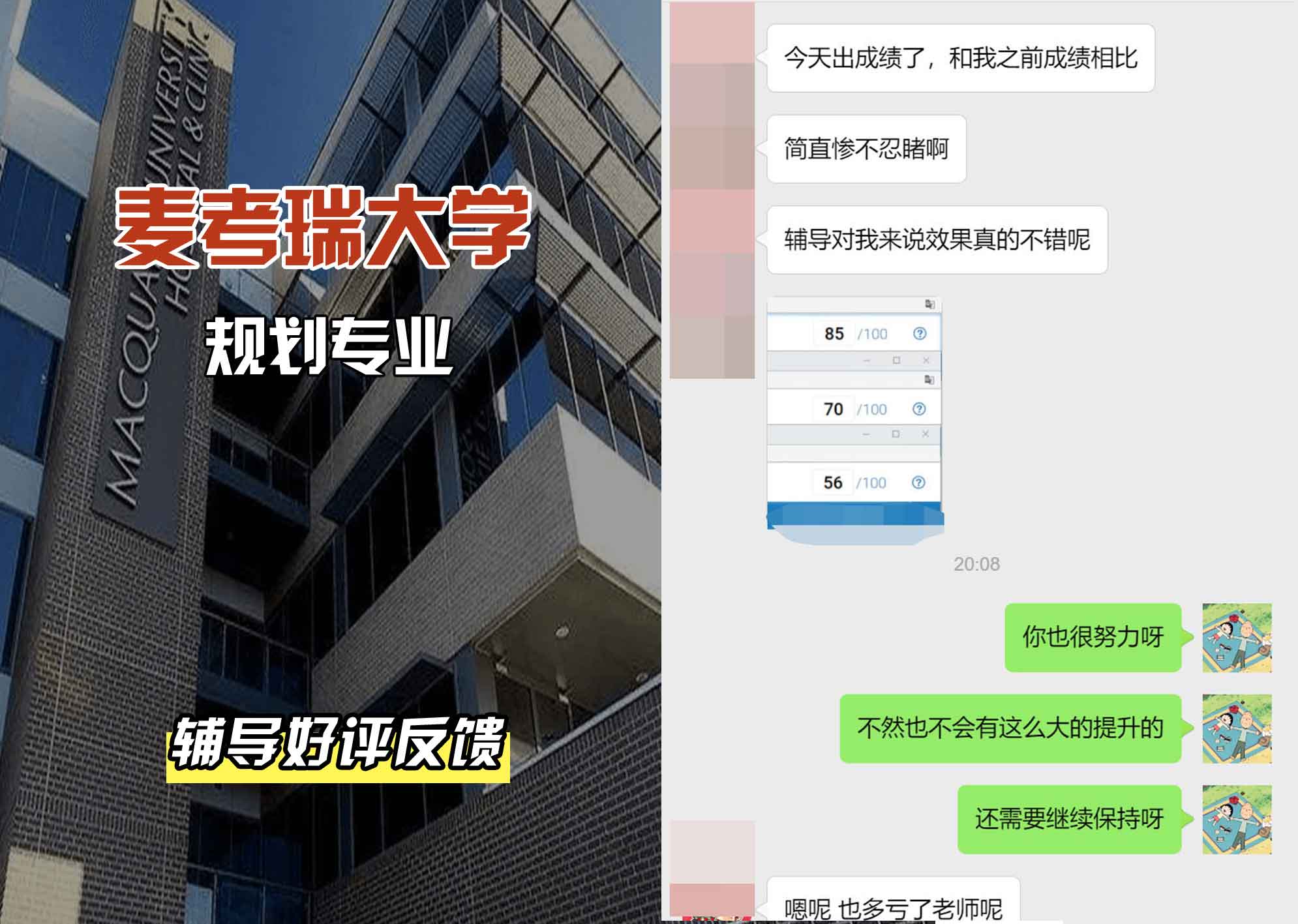 麦考瑞大学MQU规划辅导好评反馈
