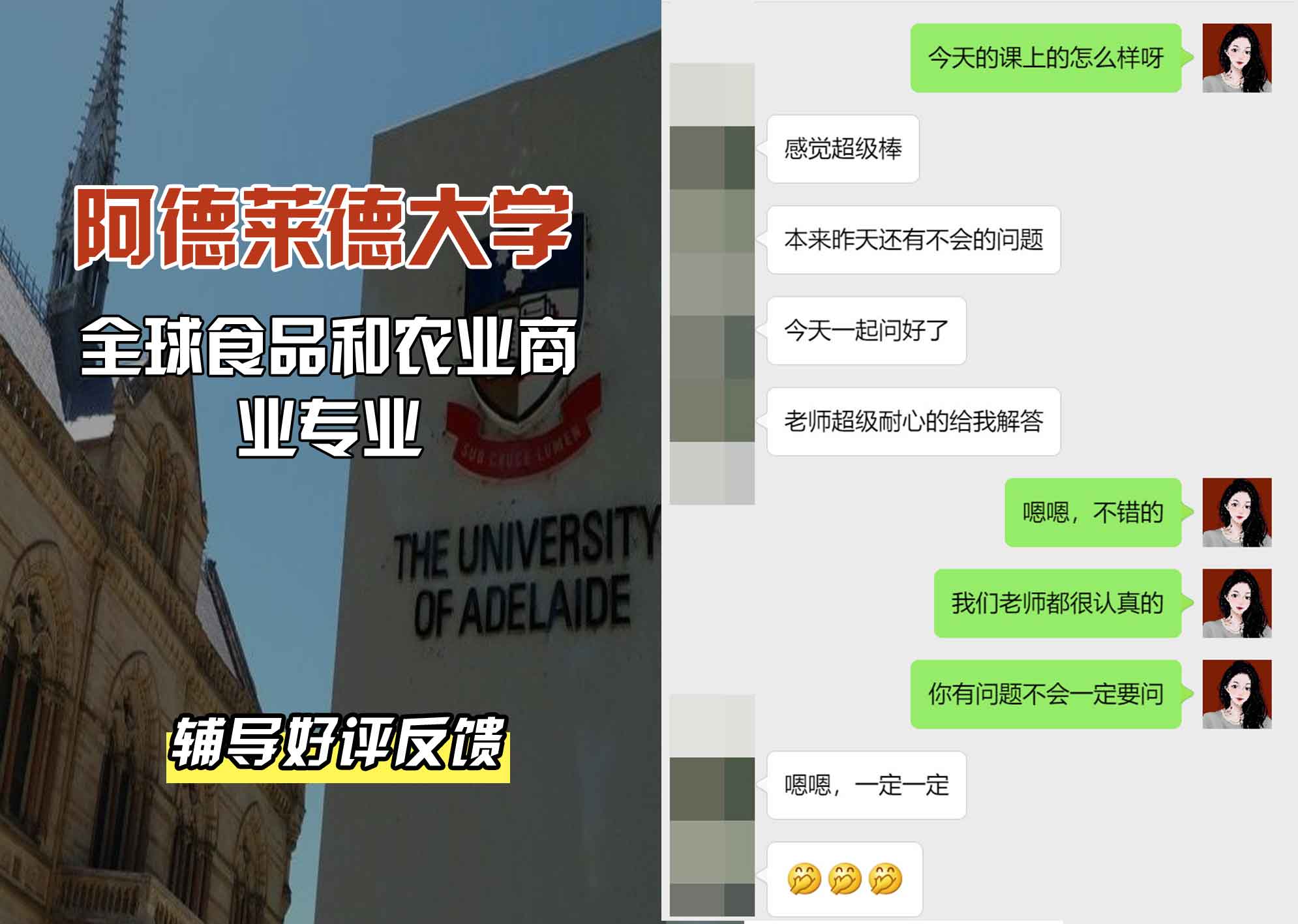 ADELAIDE阿大全球食品和农业商业辅导好评反馈