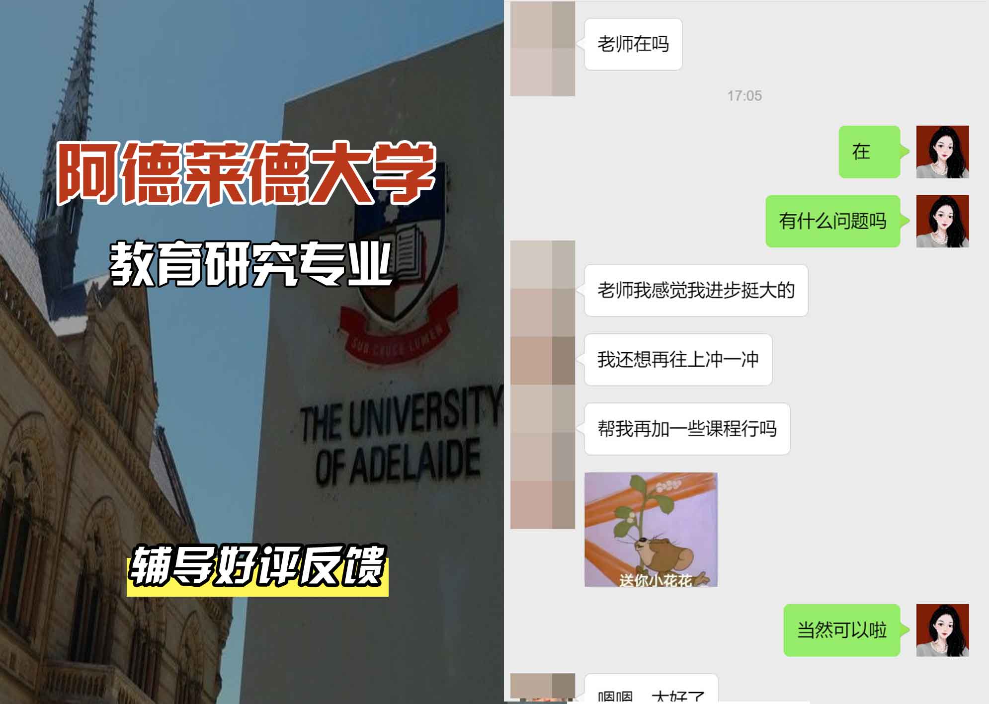 ADELAIDE阿大教育研究辅导好评反馈