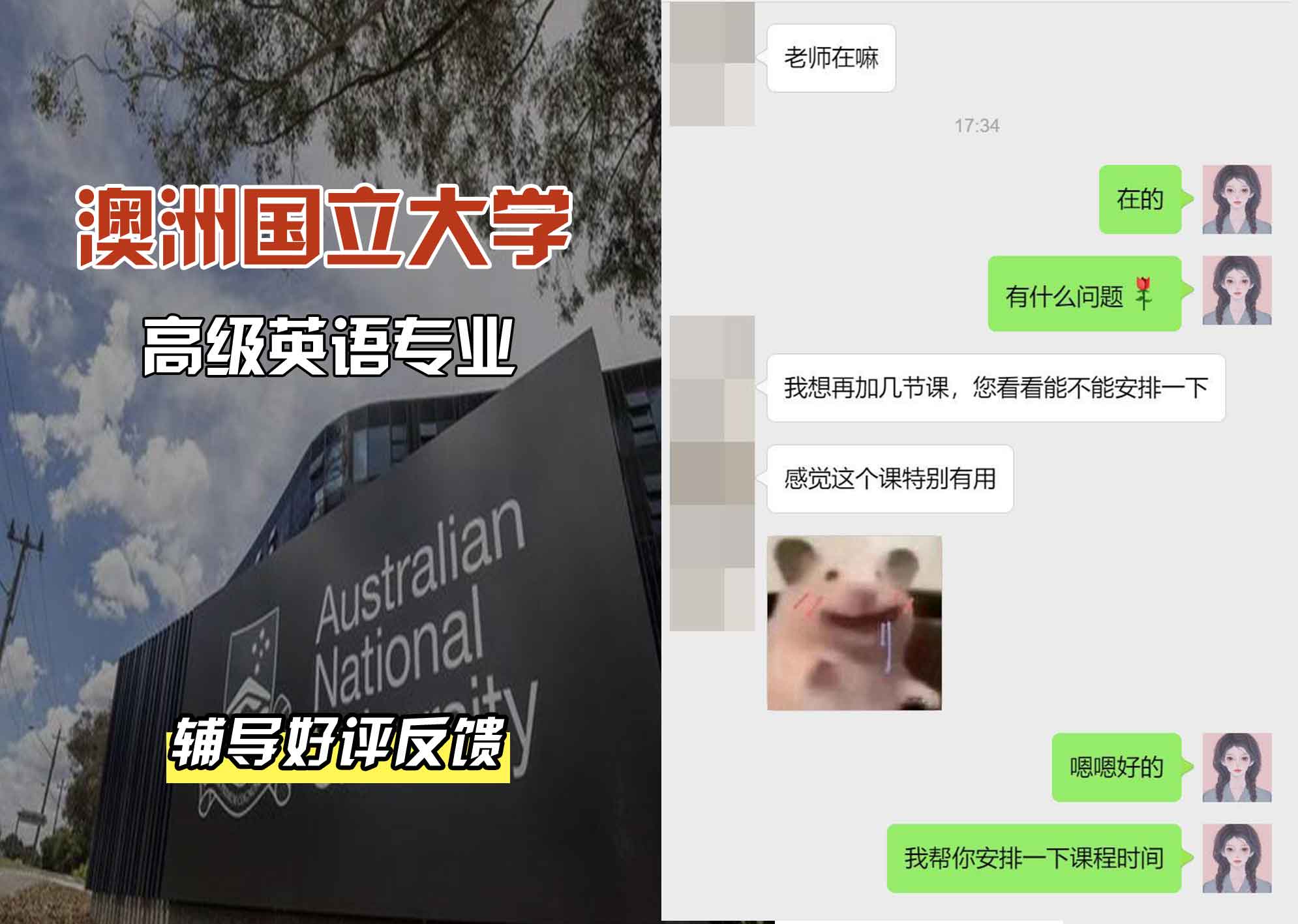 ANU澳洲国立大学高级英语辅导好评反馈