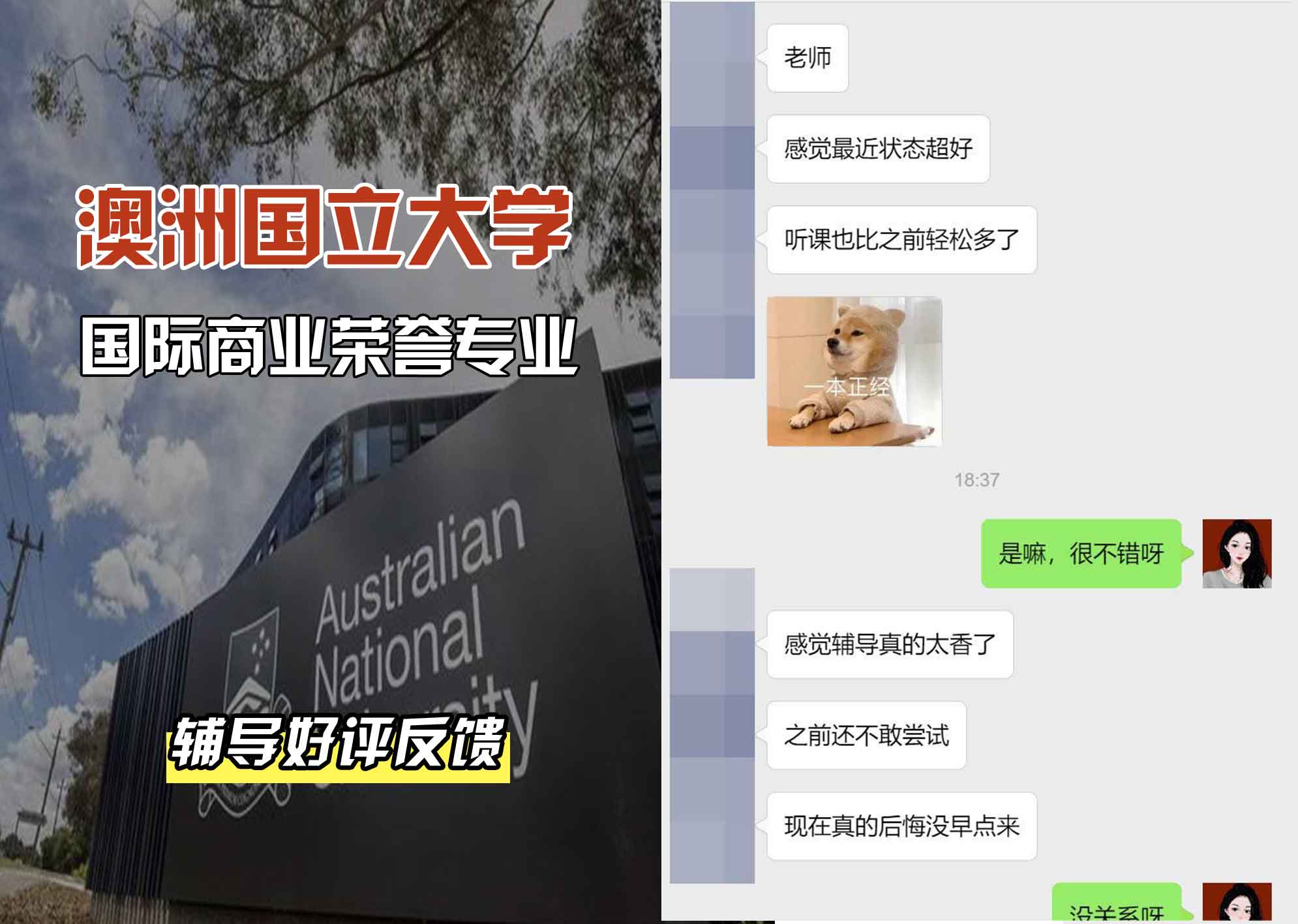 ANU澳洲国立大学国际商务荣誉辅导好评反馈