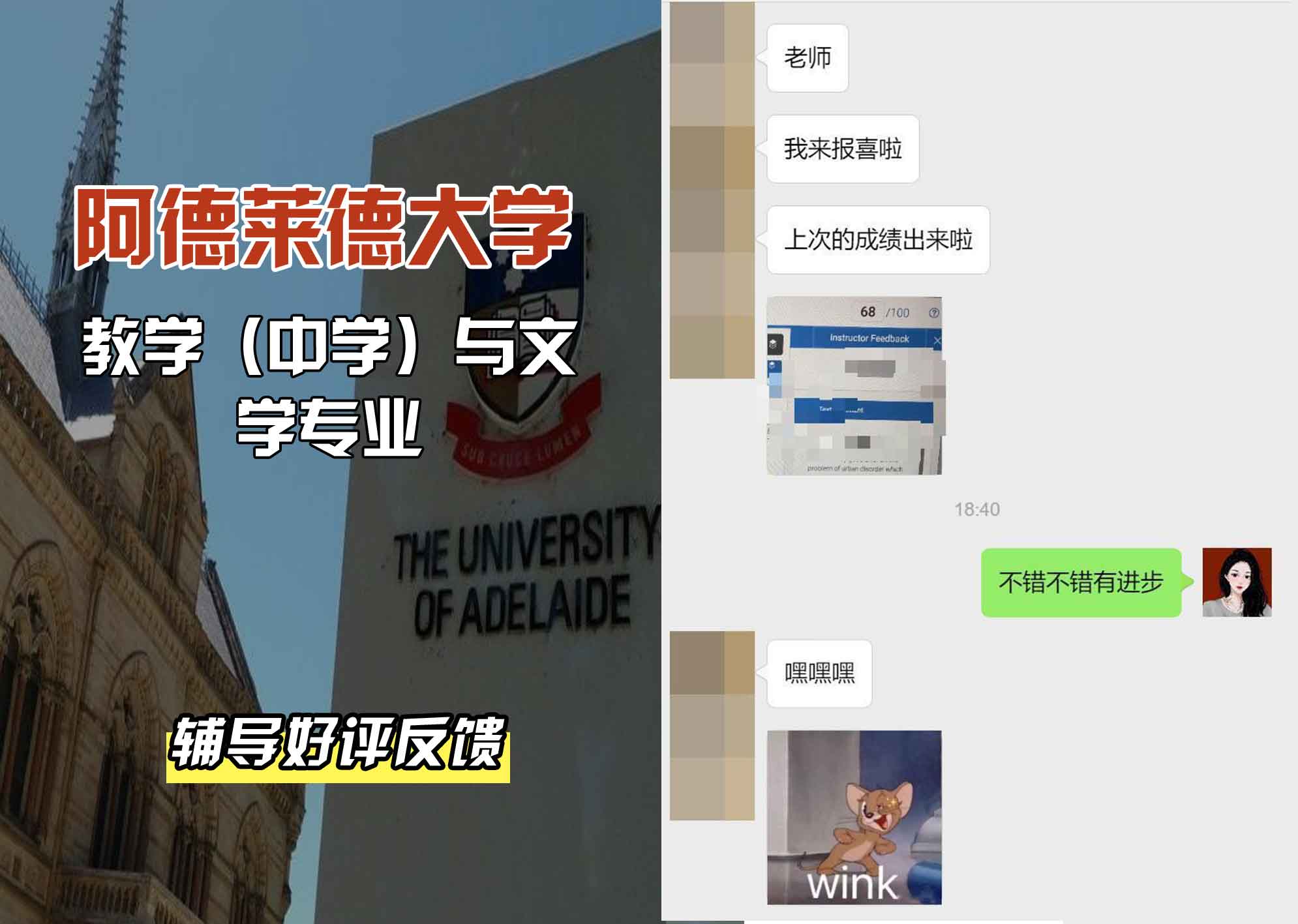 ADELAIDE阿大教学（中学）与文学辅导好评反馈
