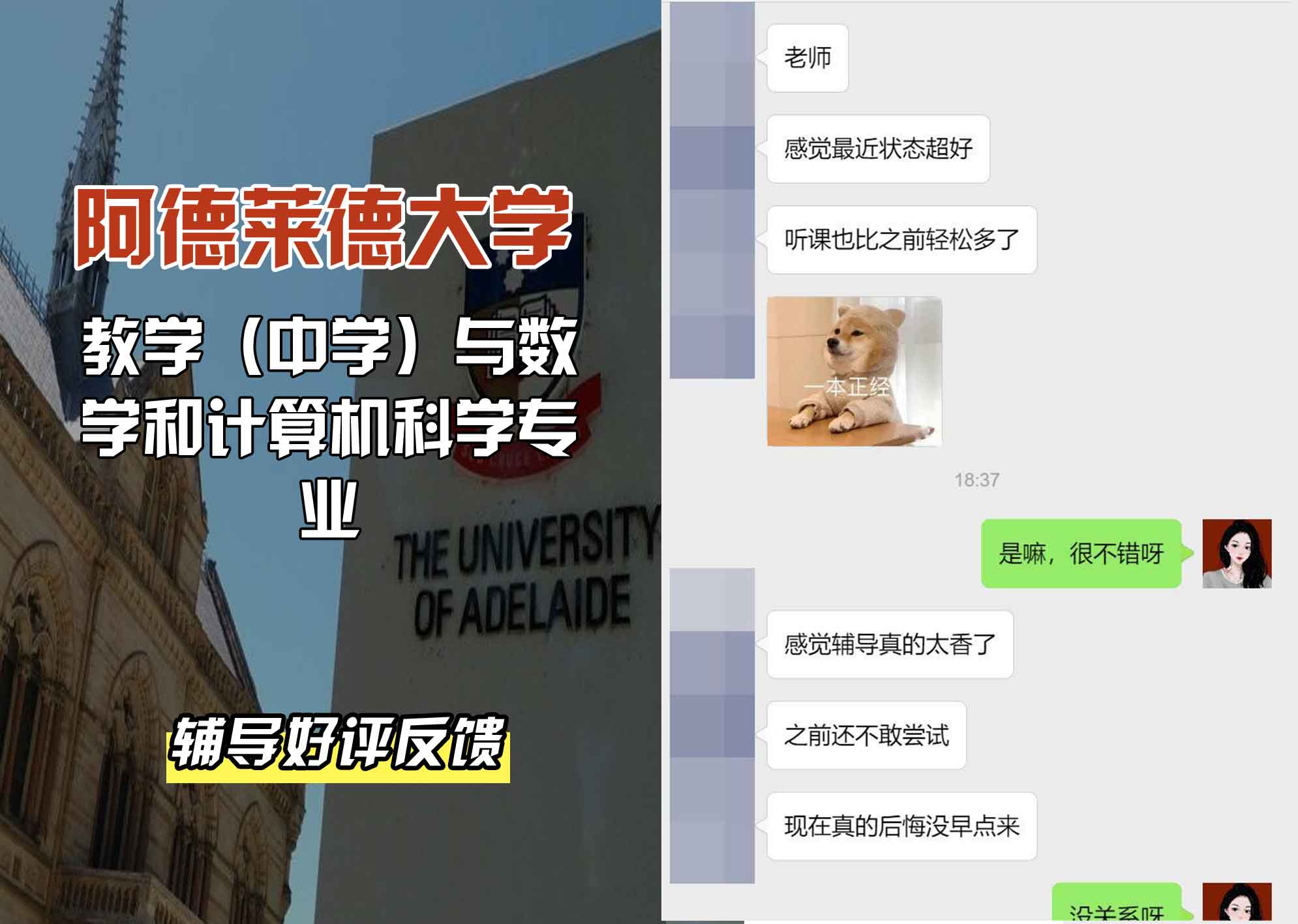 ADELAIDE阿大教学（中学）与数学和计算机科学辅导好评反馈