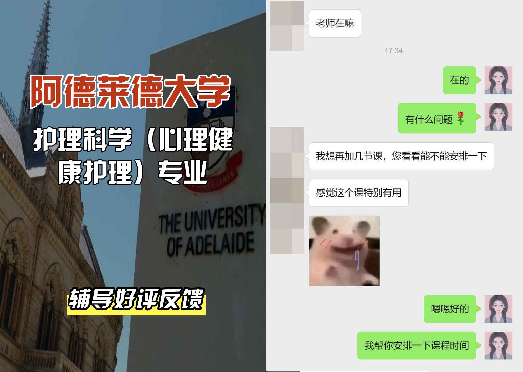 ADELAIDE阿大护理科学（心理健康护理）辅导好评反馈
