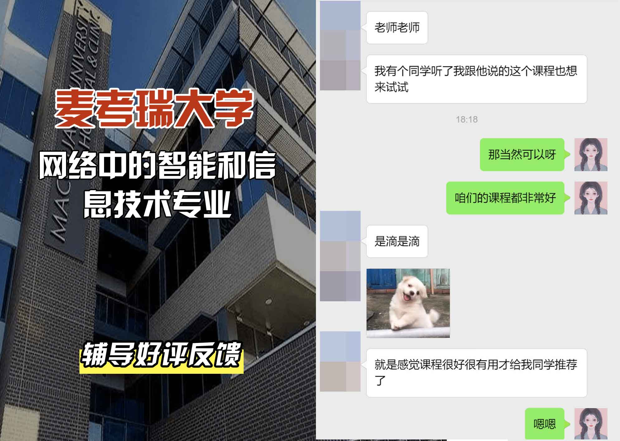 麦考瑞大学MQU网络中的智能和信息技术辅导好评反馈