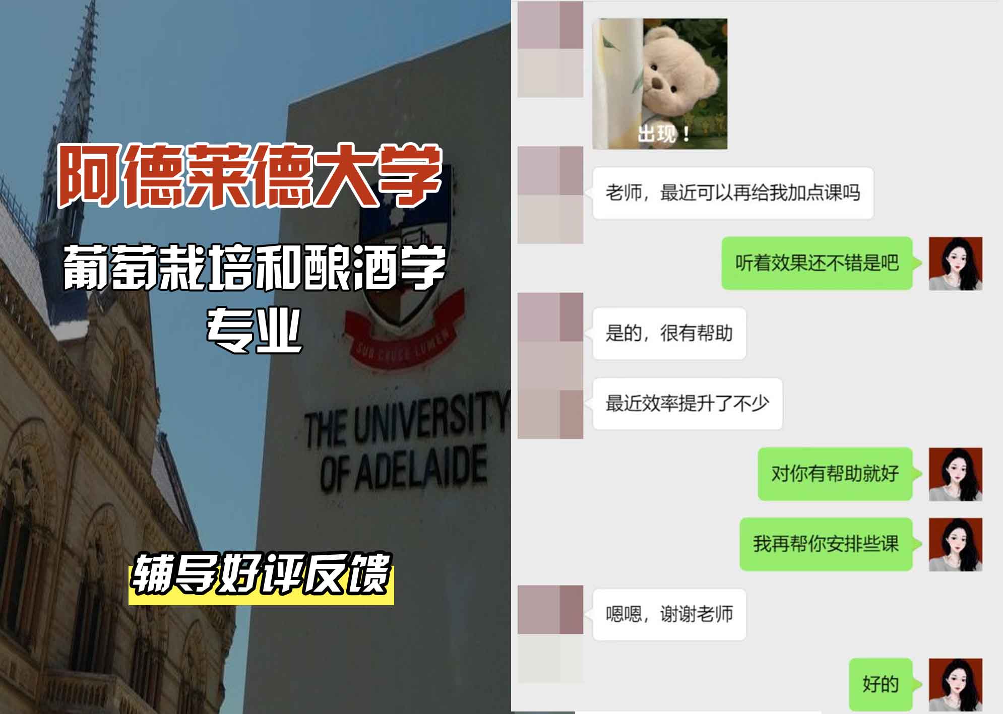 ADELAIDE阿大葡萄栽培和酿酒学辅导好评反馈