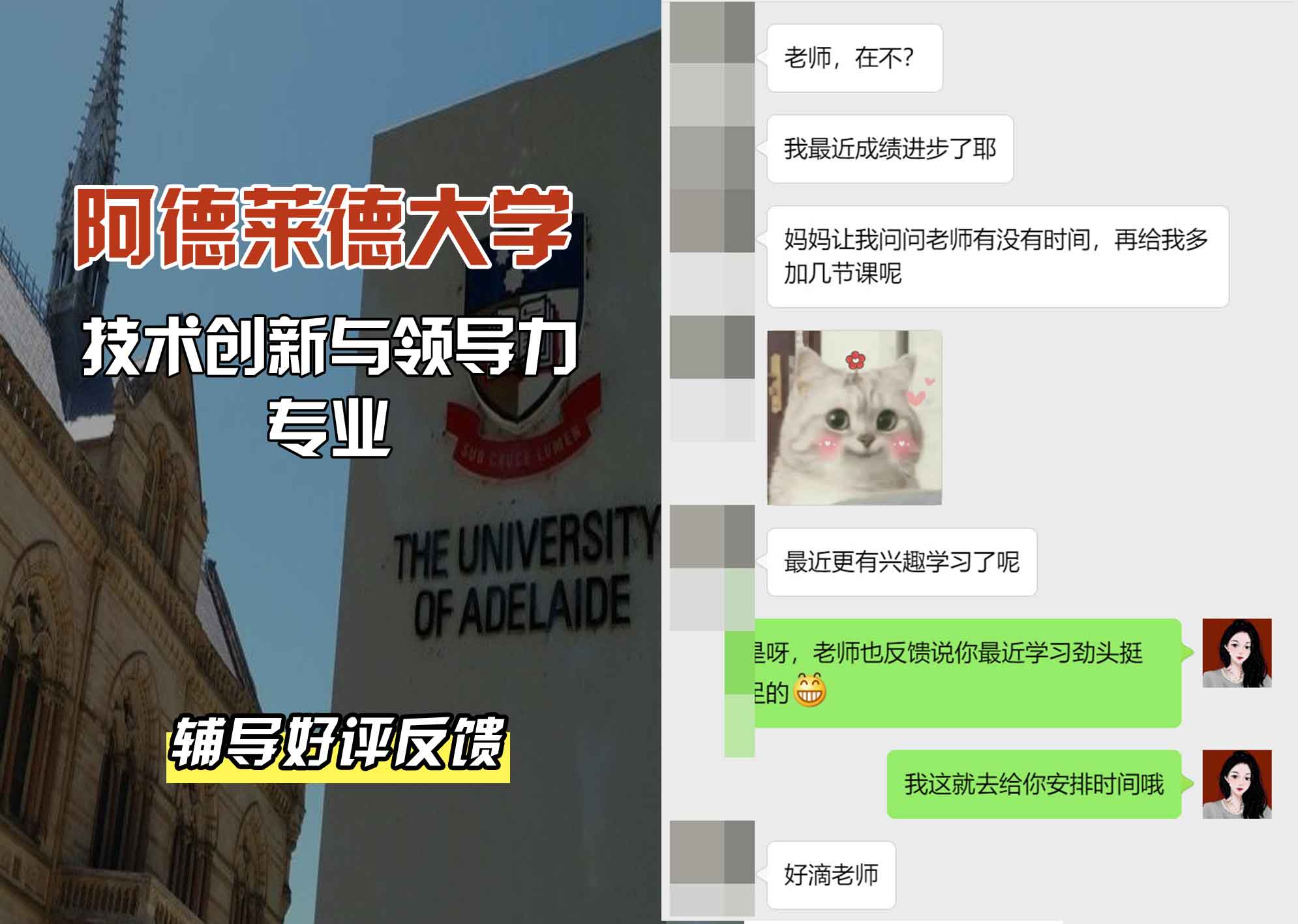 ADELAIDE阿大技术创新与领导力辅导好评反馈