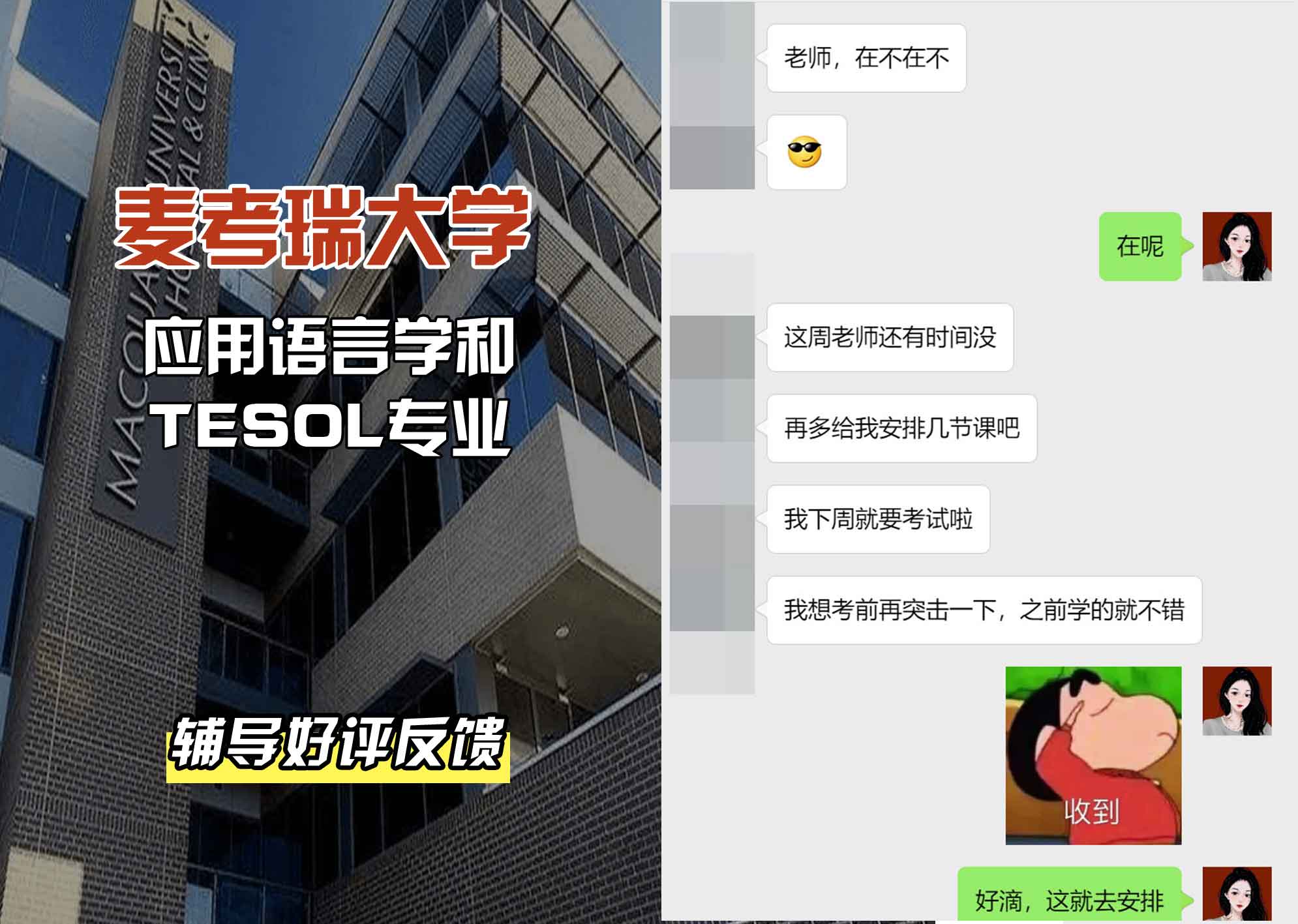 麦考瑞大学MQU应用语言学和TESOL辅导好评反馈