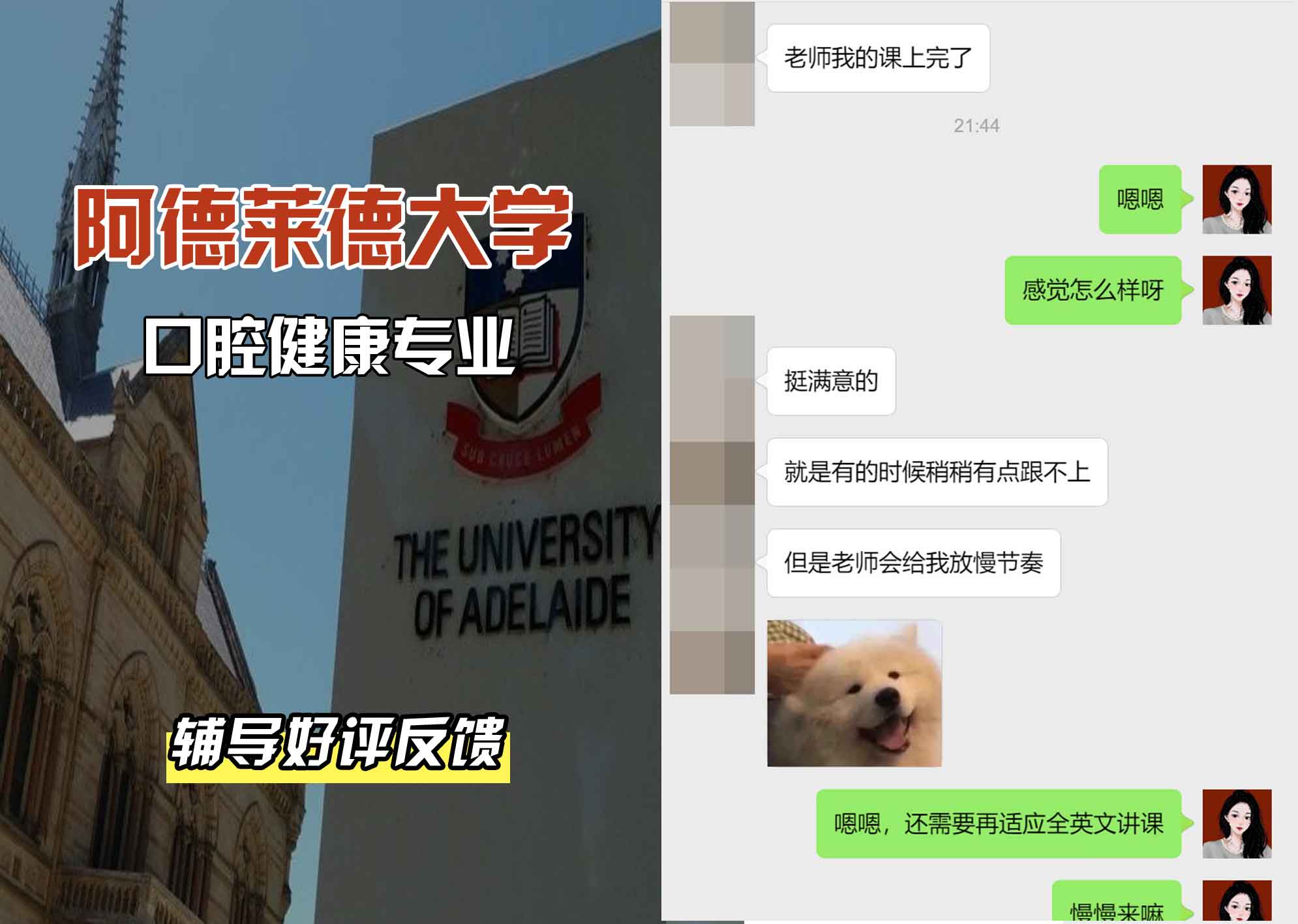 ADELAIDE阿大口腔健康辅导好评反馈