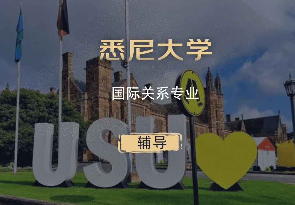 悉大国际关系IR辅导