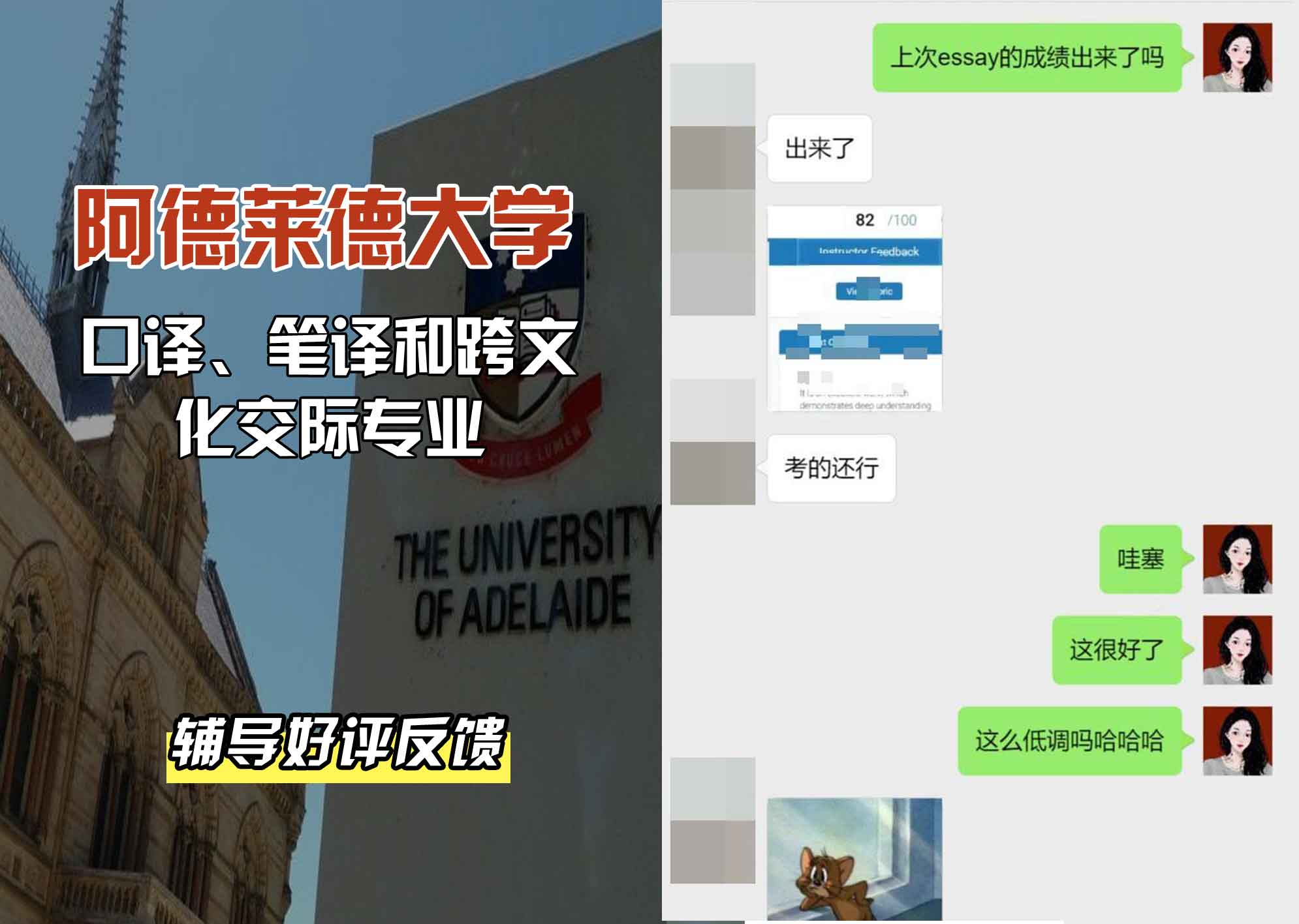 ADELAIDE阿大口译、笔译和跨文化交际辅导好评反馈