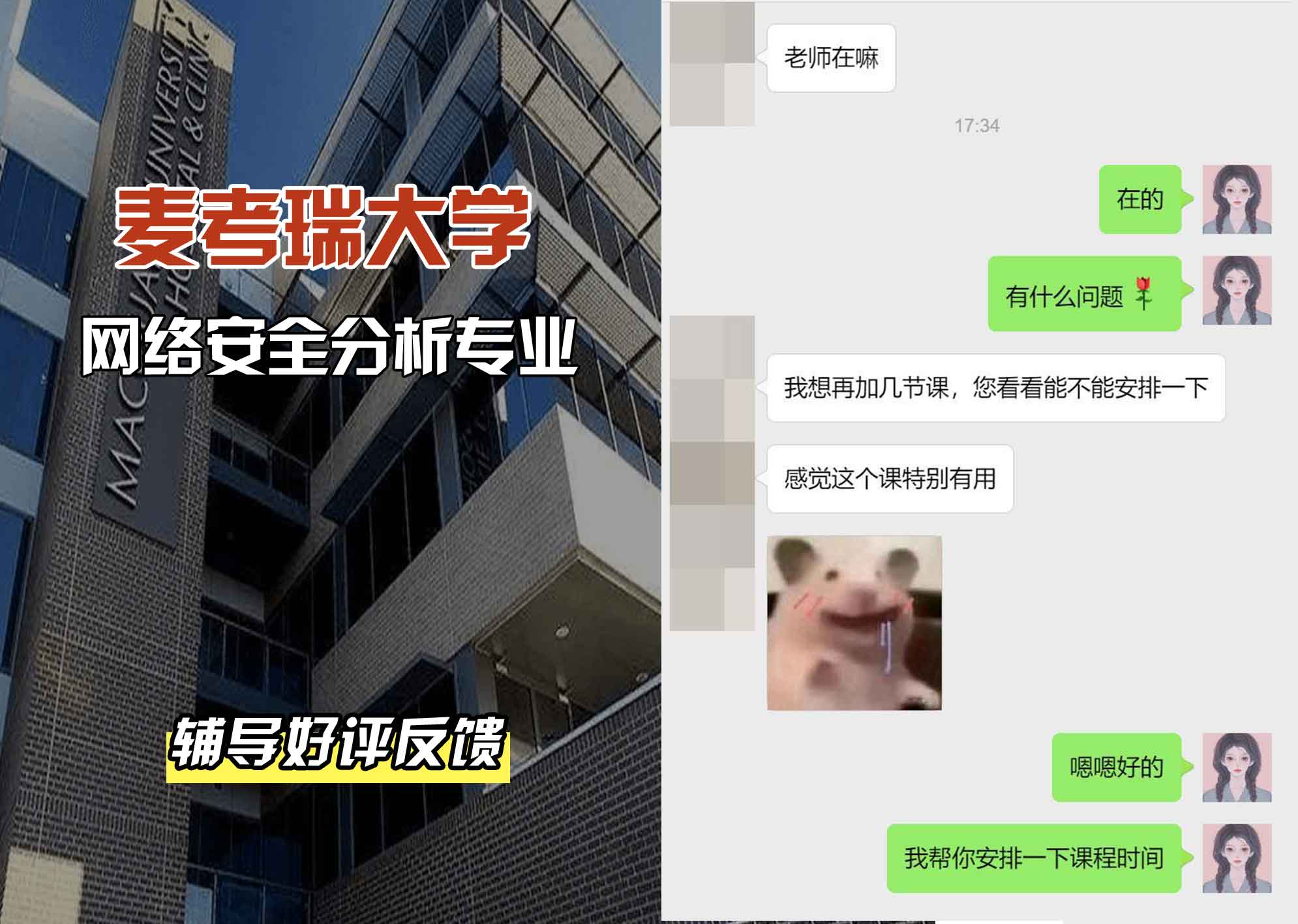麦考瑞大学MQU网络安全分析辅导好评反馈