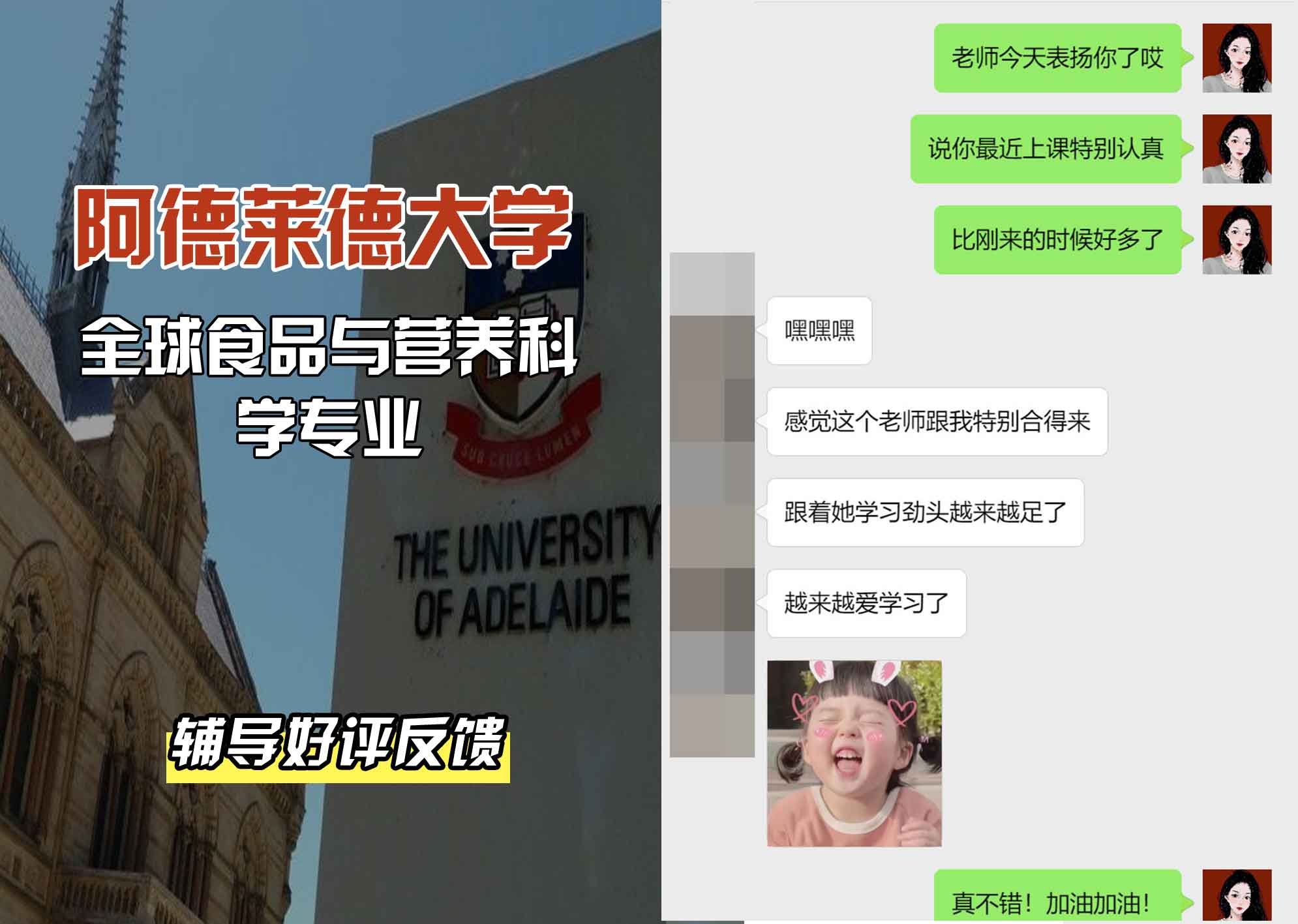 ADELAIDE阿大全球食品与营养科学辅导好评反馈