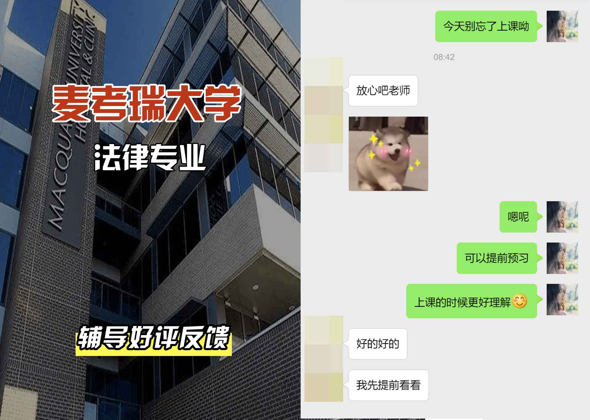 麦考瑞大学MQU法律辅导好评反馈
