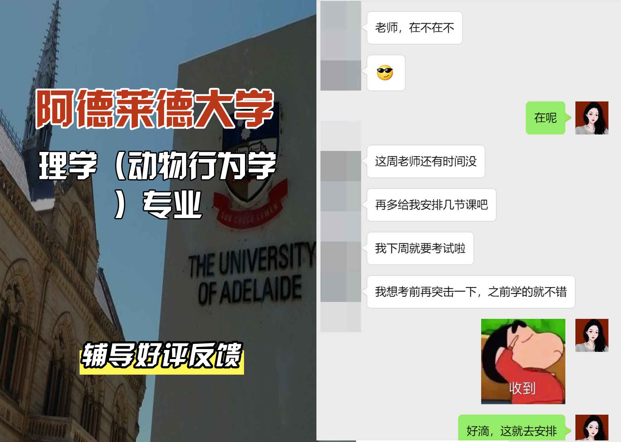 ADELAIDE阿大理学（动物行为学）辅导好评反馈