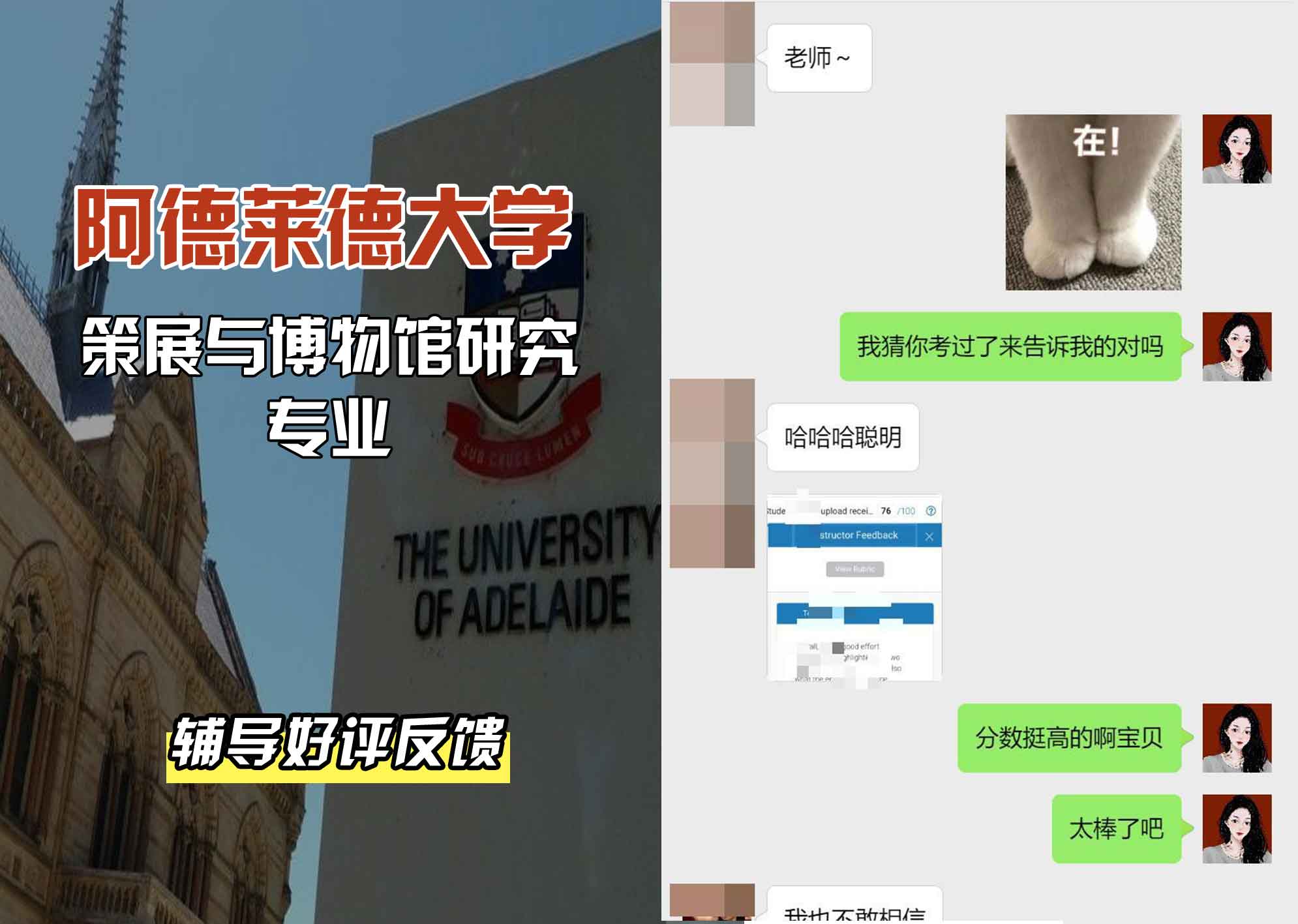 ADELAIDE阿大策展与博物馆研究辅导好评反馈