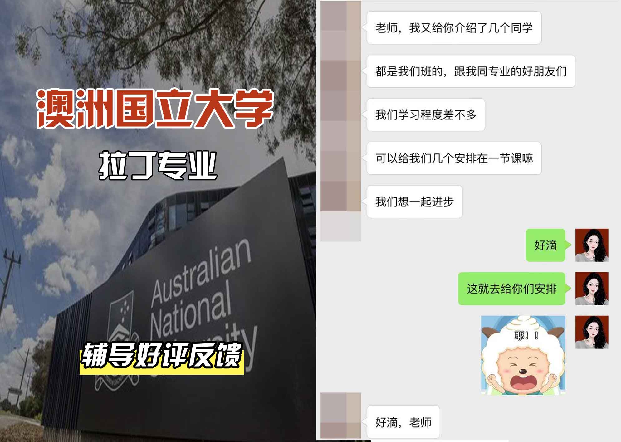 ANU澳洲国立大学拉丁辅导好评反馈