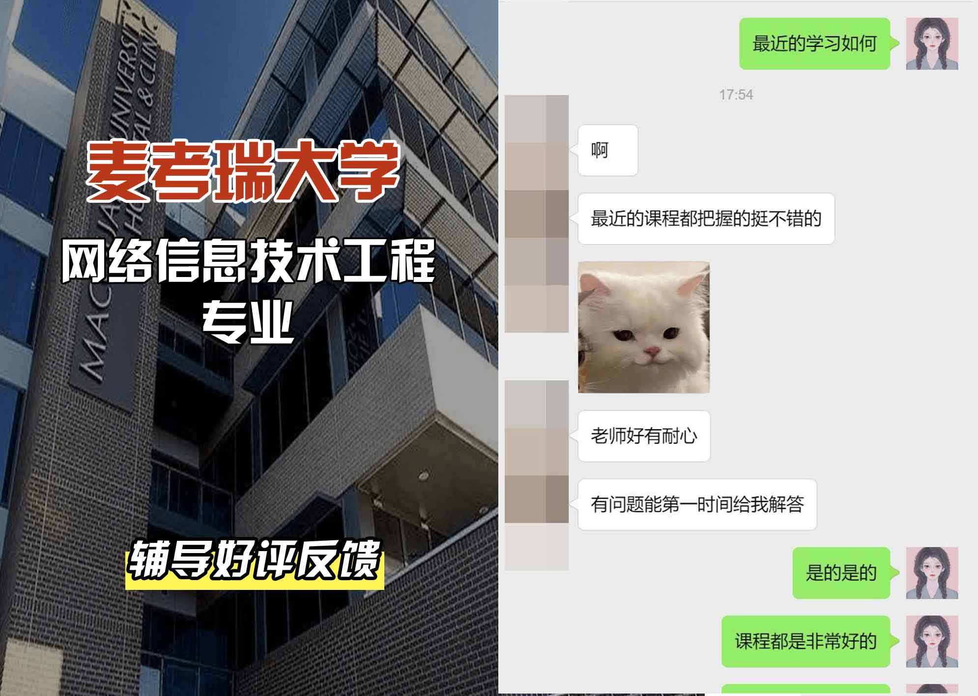 麦考瑞大学MQU网络信息技术工程辅导好评反馈