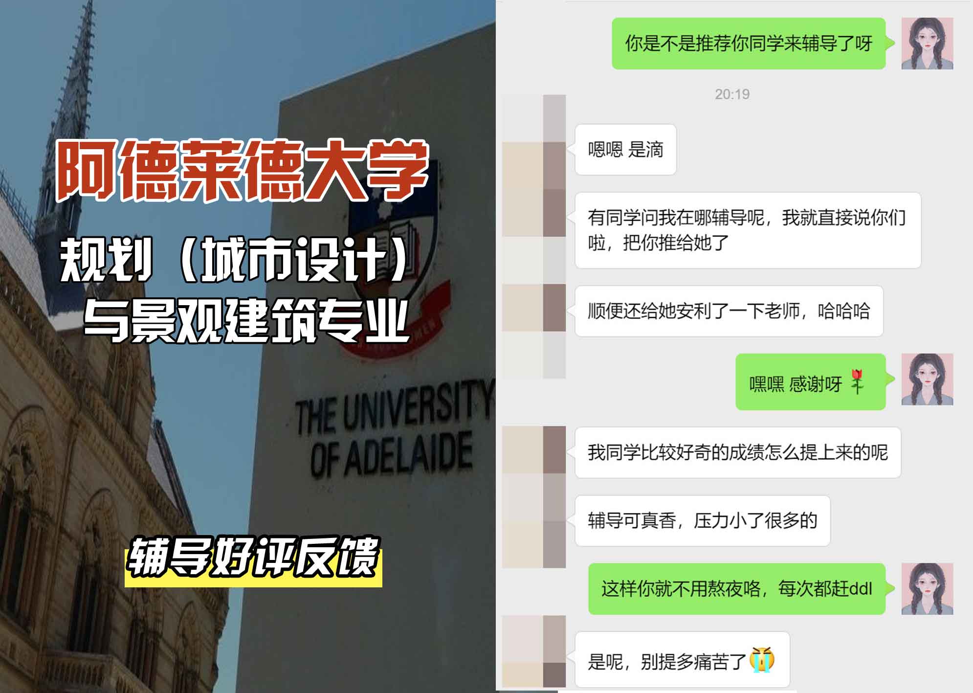 ADELAIDE阿大规划（城市设计）与景观建筑辅导好评反馈