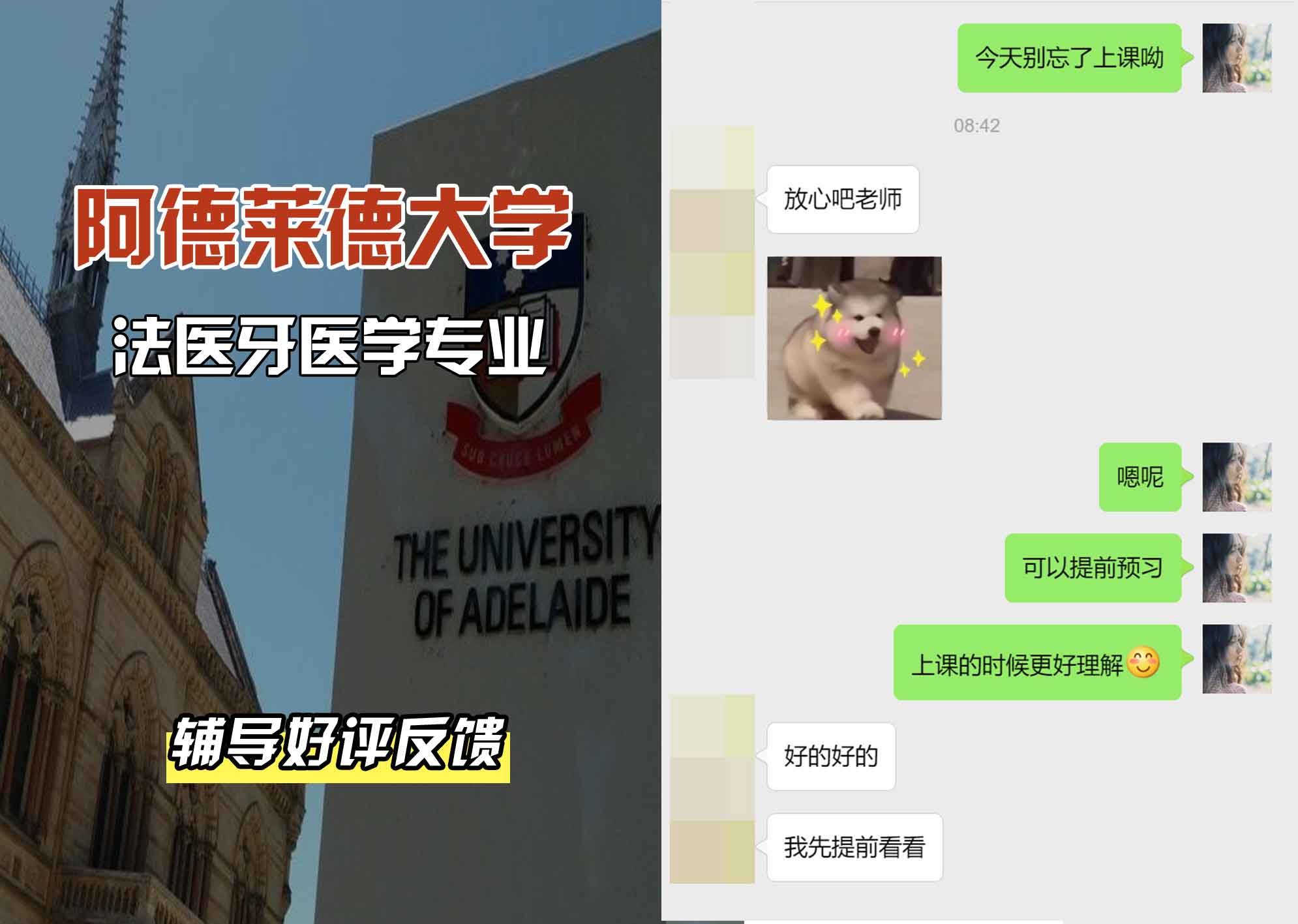 ADELAIDE阿大法医牙医学辅导好评反馈
