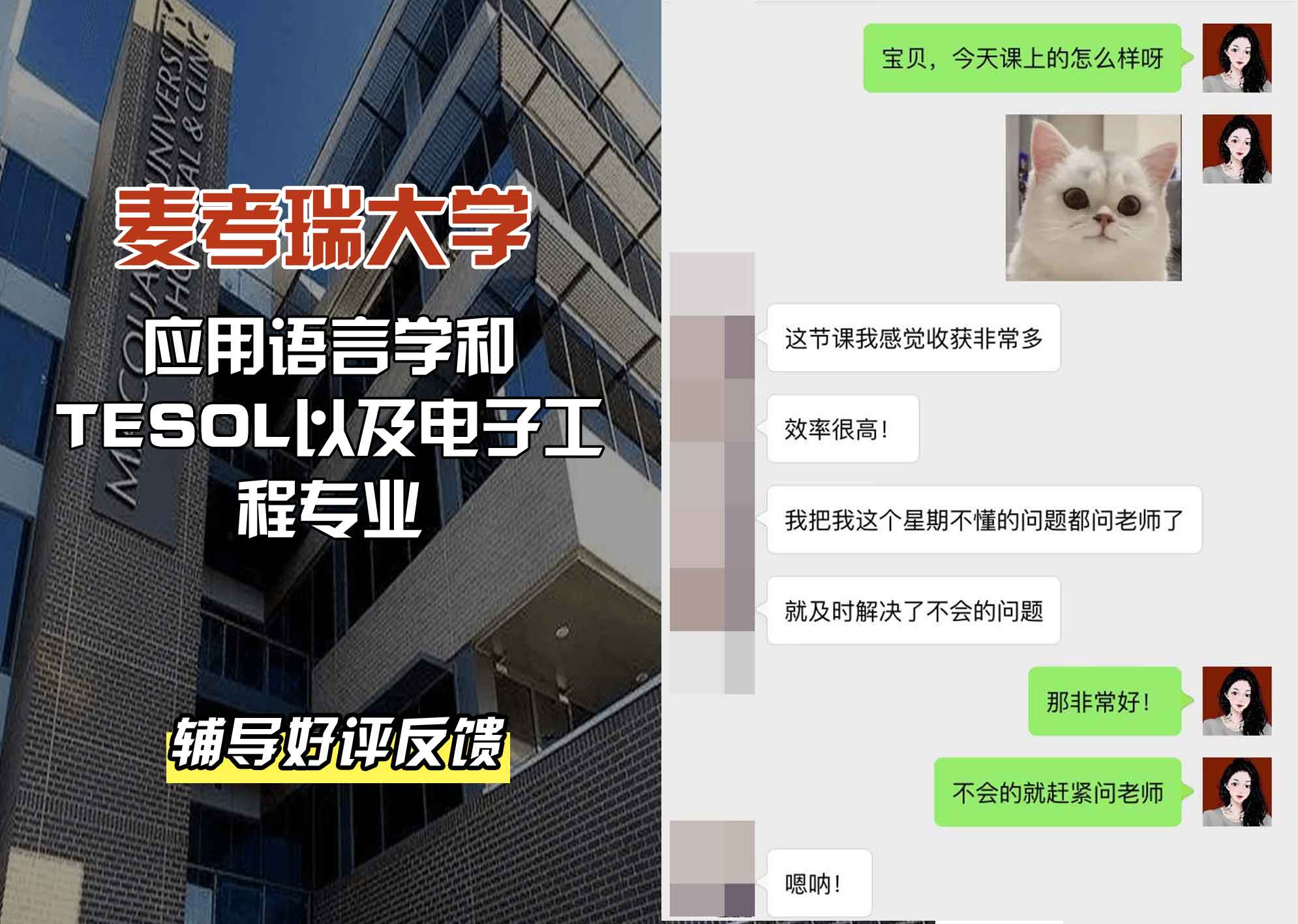 麦考瑞大学MQU应用语言学和TESOL以及电子工程辅导好评反馈
