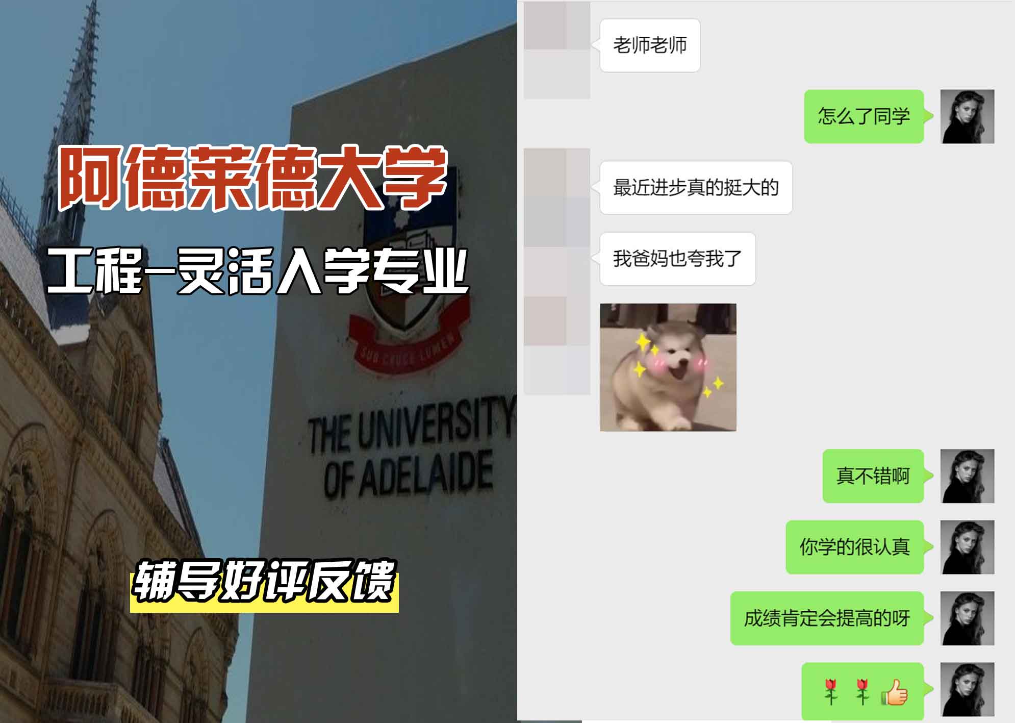 ADELAIDE阿大工程- 灵活入学称辅导好评反馈