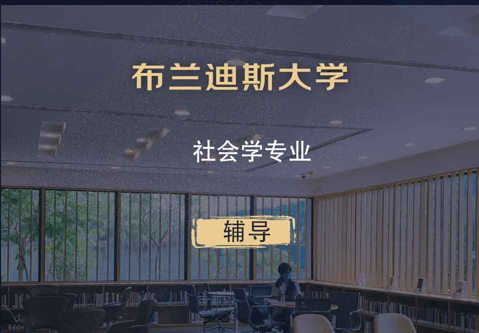 布兰迪斯大学社会学辅导