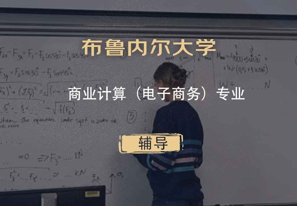 布鲁内尔大学Brunel商业计算（电子商务）辅导
