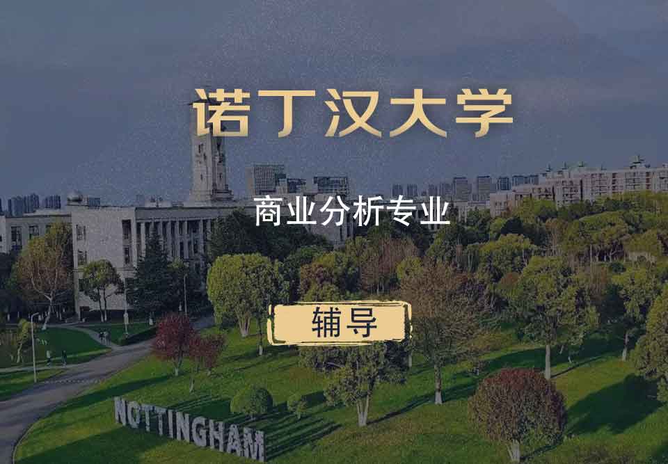 诺丁汉商业分析BA辅导