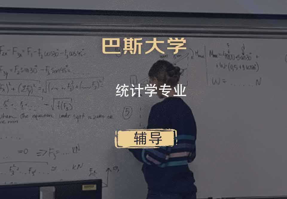 巴斯大学Bath统计学辅导