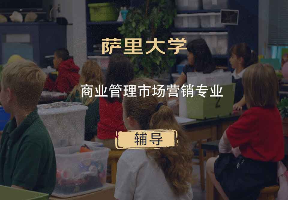 萨里大学Surrey商业管理市场营销辅导
