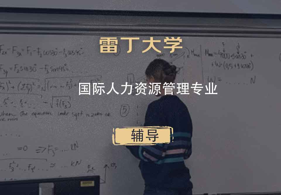 雷丁大学UR国际人力资源管理辅导
