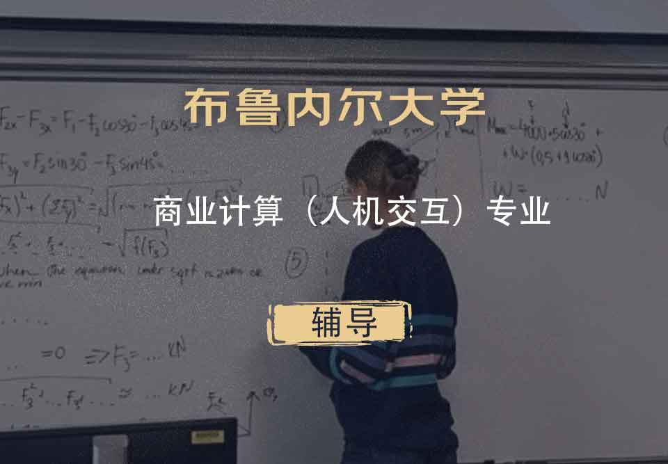 布鲁内尔大学Brunel商业计算（人机交互）辅导