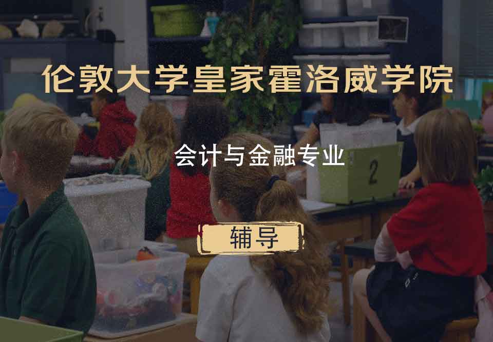 伦敦大学皇家霍洛威学院RHUL会计与金融辅导