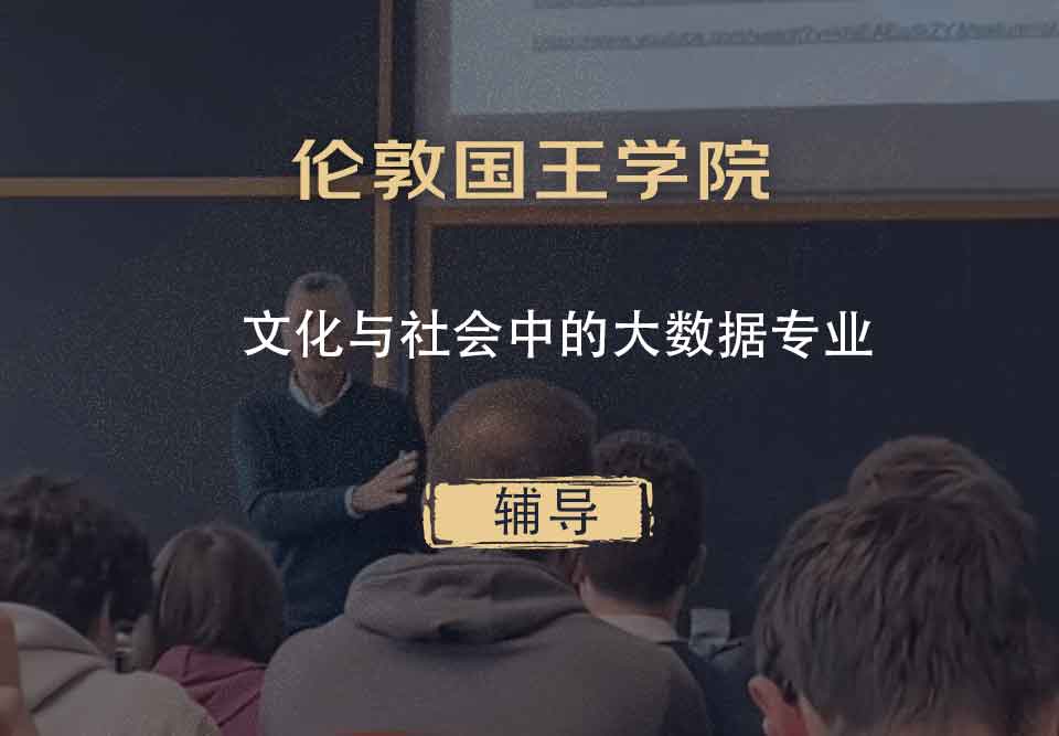 伦敦国王学院KCL文化与社会中的大数据辅导