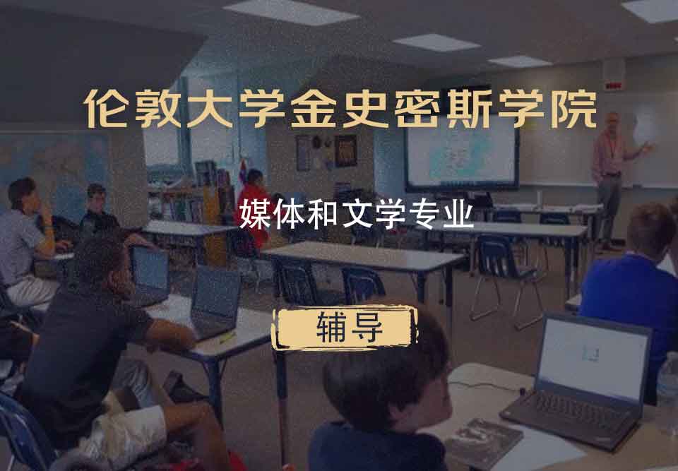 伦敦大学金史密斯学院媒体和文学辅导