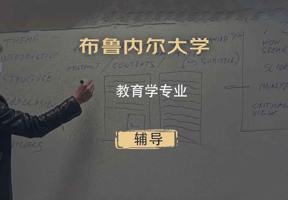 布鲁内尔大学Brunel教育学辅导