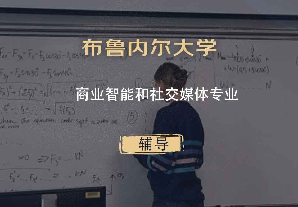 布鲁内尔大学Brunel商业智能和社交媒体辅导